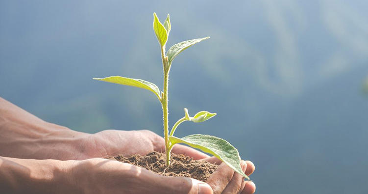 Environmental Responsibility